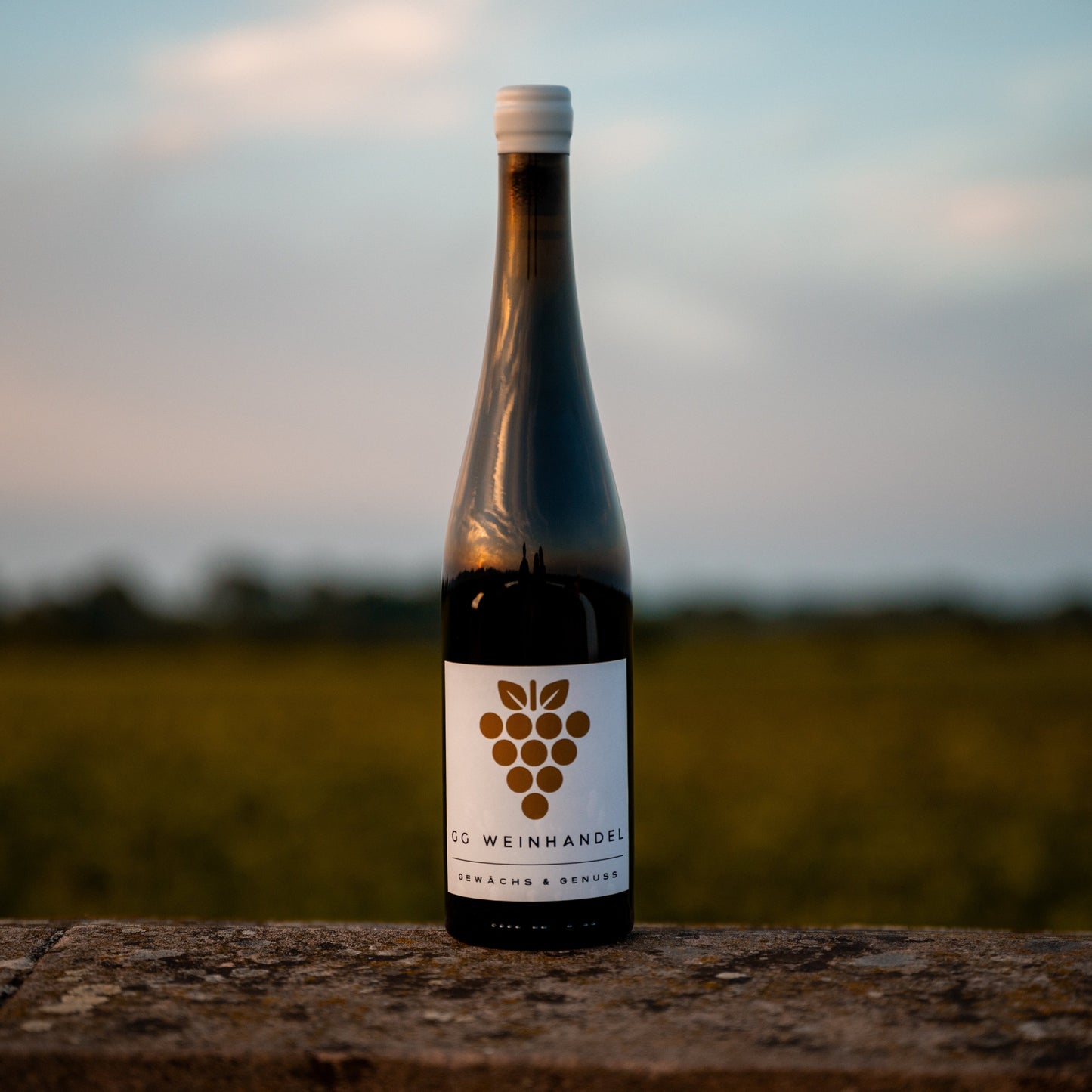 Riesling "Kirchberg GG" | 2014