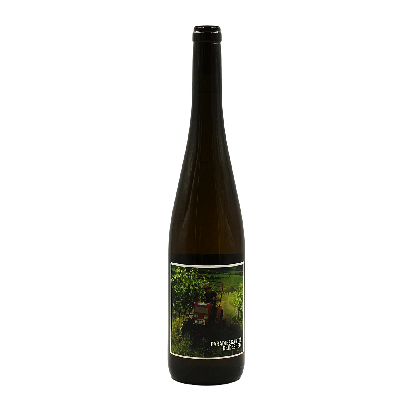 Riesling "Deidesheimer Paradiesgarten" | 2023